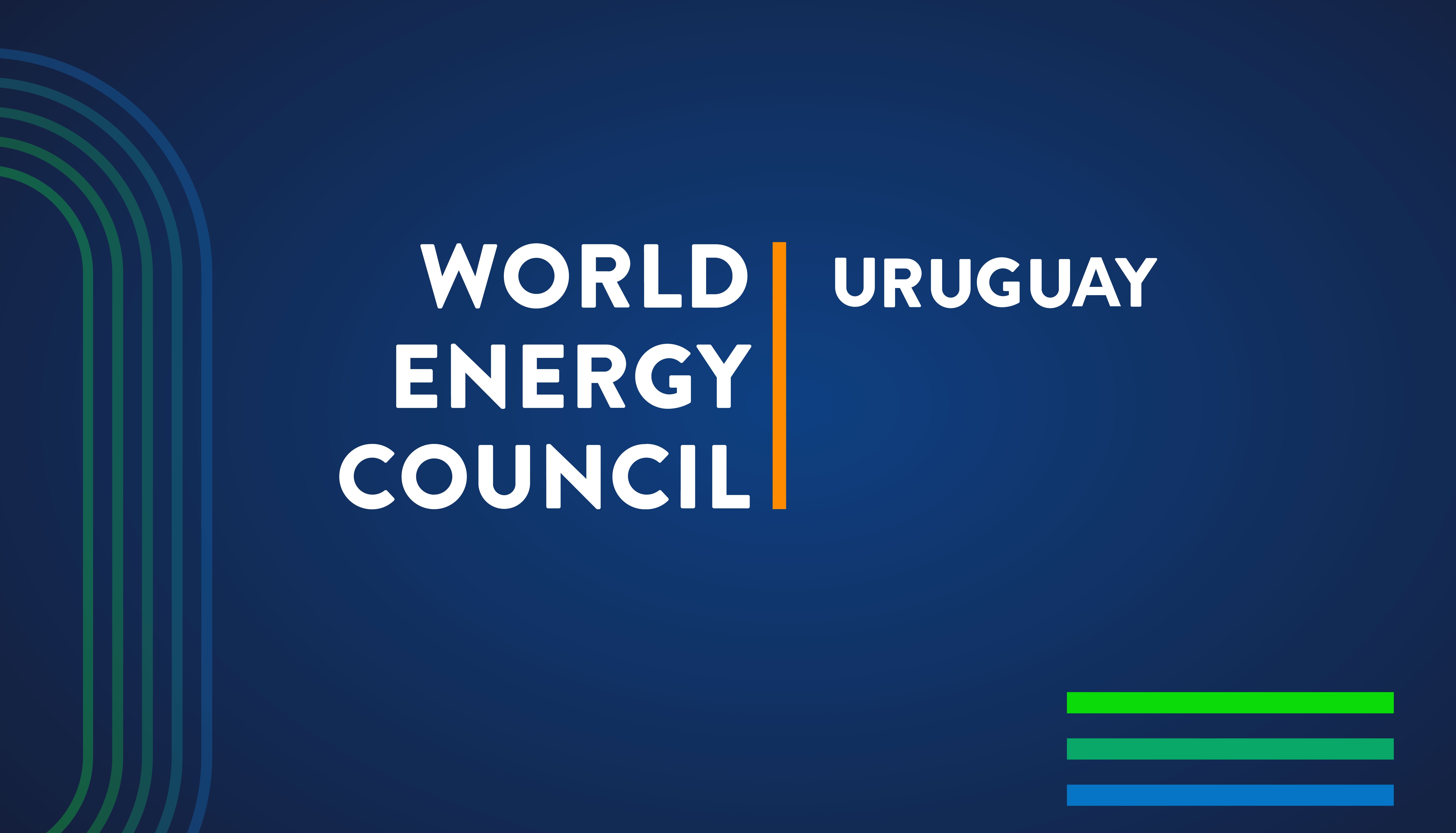 World energy council
